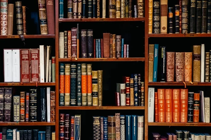 Legal Translation Services - AM Interpretiv